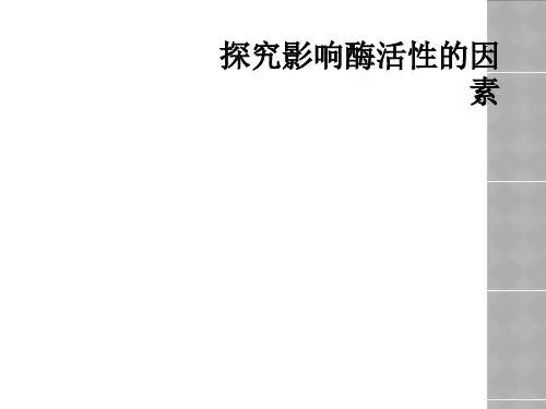 探究影响酶活性的因素