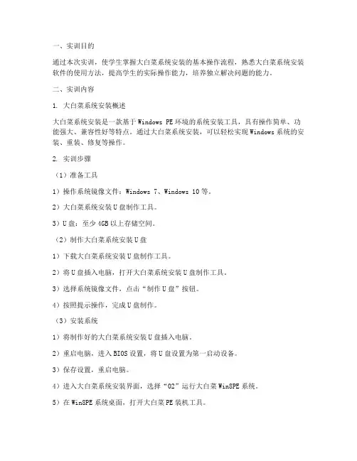 大白菜系统安装实训报告