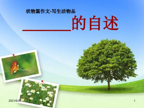 《----的自述》状物篇作文教案