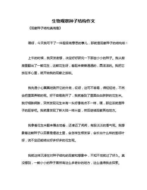 生物观察种子结构作文