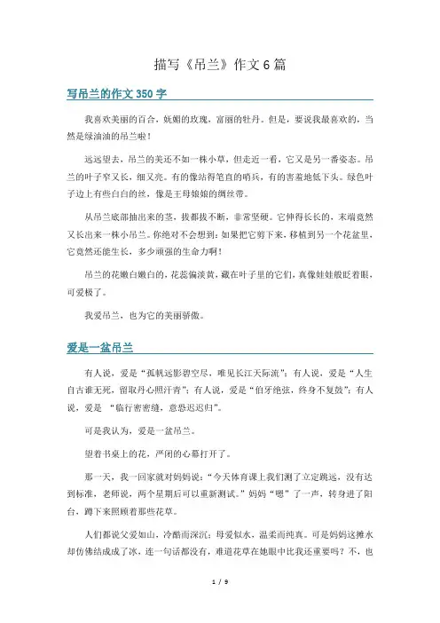 描写《吊兰》作文6篇
