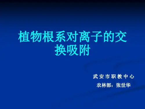 植物根系对离子的交换吸附
