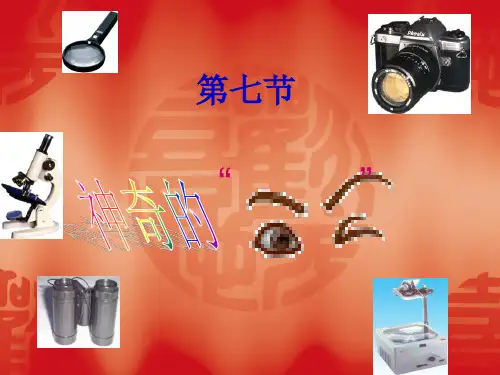 6 眼睛与视力矫正 公开课一等奖课件.ppt课件3 公开课一等奖课件