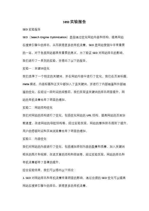 seo实验报告