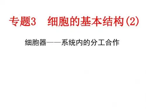高考生物一轮复习课件：细胞器-系统内的分工合作 (共23张PPT)