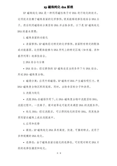 xp磁珠纯化dna原理