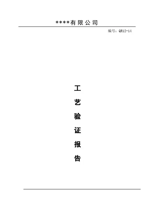  QR12-14  工艺验证报告