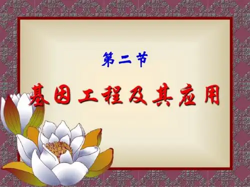 高中生物 基因工程及其应用