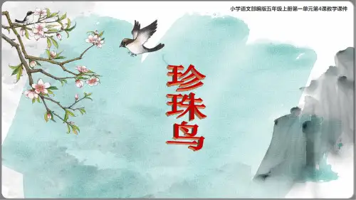 五年级语文上册课件 珍珠鸟(共27张PPT)
