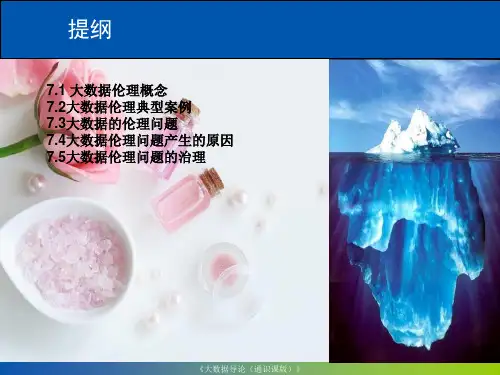 大数据大论-第7章-大数据伦理