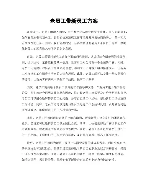 老员工带新员工方案