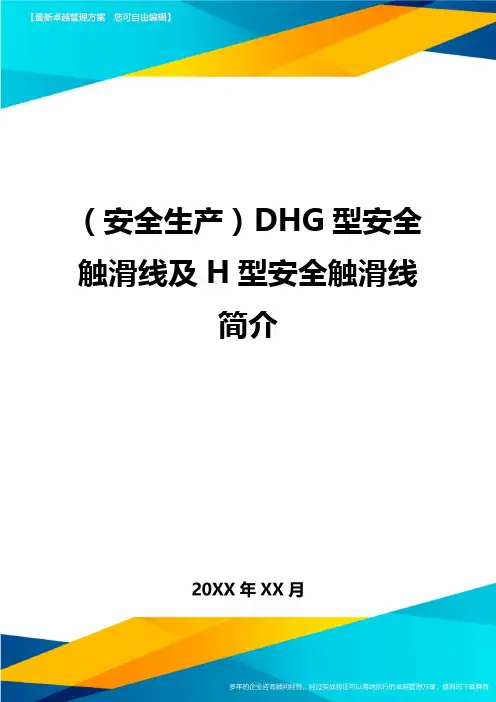 2020年(安全生产)DHG型安全触滑线及H型安全触滑线简介