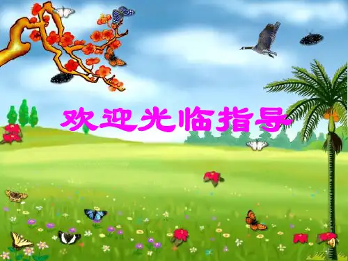 寄给青蛙的信PPT课件