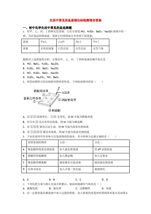 生活中常见的盐易错达标检测卷含答案