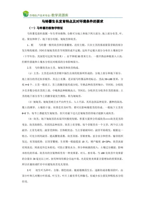 马铃薯生长发育特点及对环境条件的要求(精)