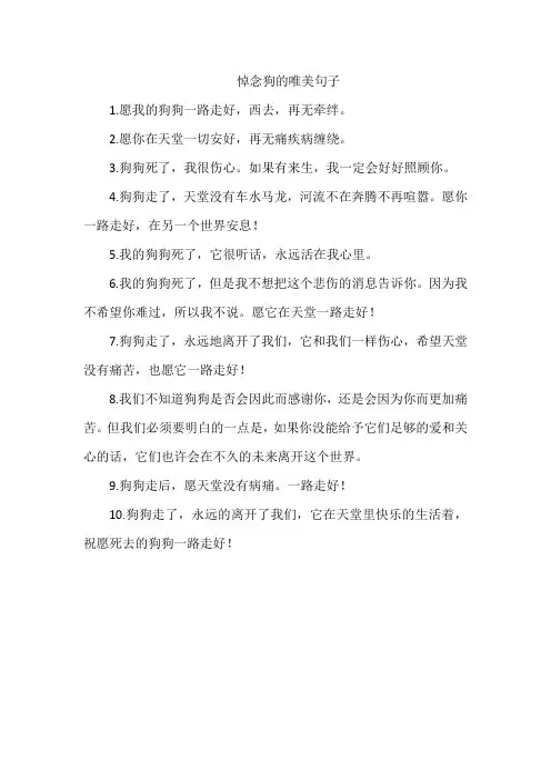 悼念狗的唯美句子