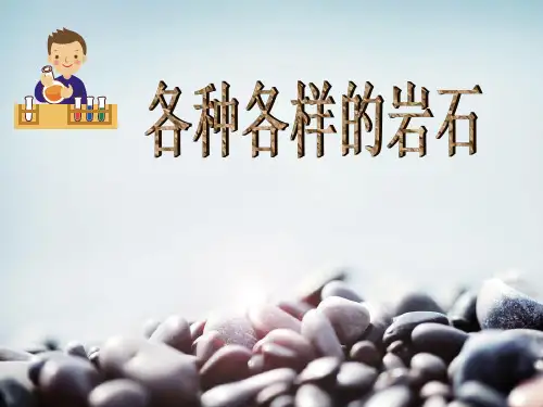 四年级上册科学课件 -9 各种各样的岩石- 粤教版 (共32张PPT)