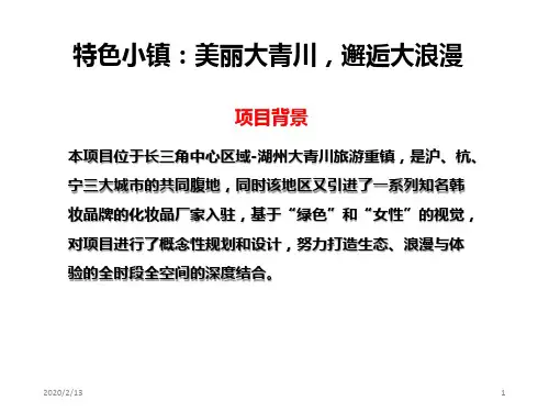 特色小镇----青山PPT课件