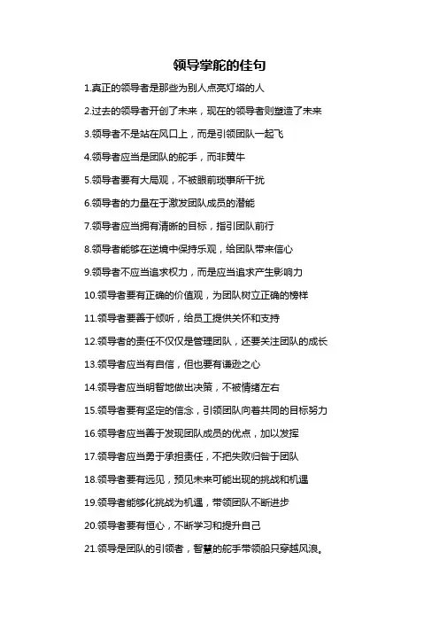 领导掌舵的佳句-概述说明以及解释