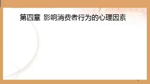 第四章 影响消费者行为的心理因素PPT课件