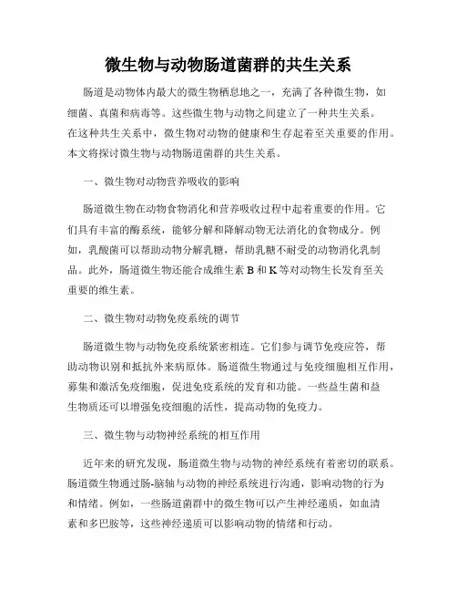 微生物与动物肠道菌群的共生关系