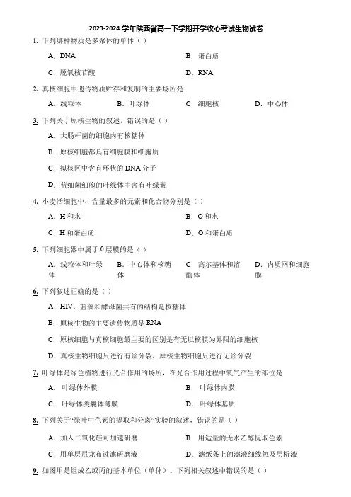 2023-2024学年陕西省高一下学期开学收心考试生物试卷