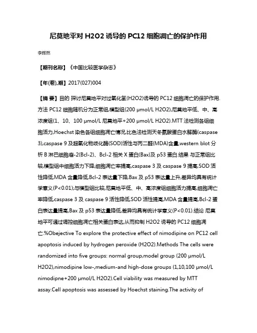 尼莫地平对H2O2诱导的PC12细胞凋亡的保护作用