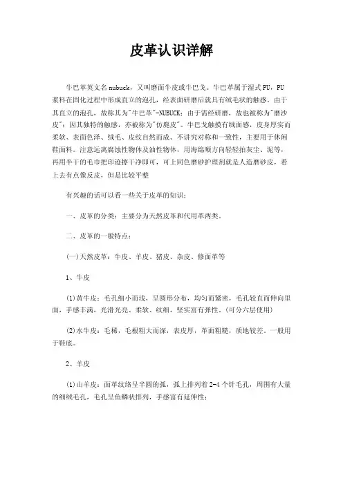 皮革认识详解