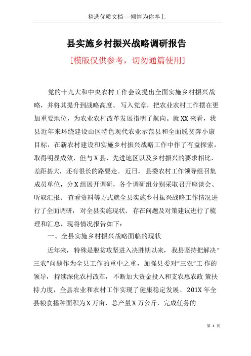 县实施乡村振兴战略调研报告(共20页)