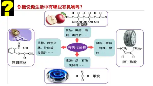 第一节认识有机化合物1