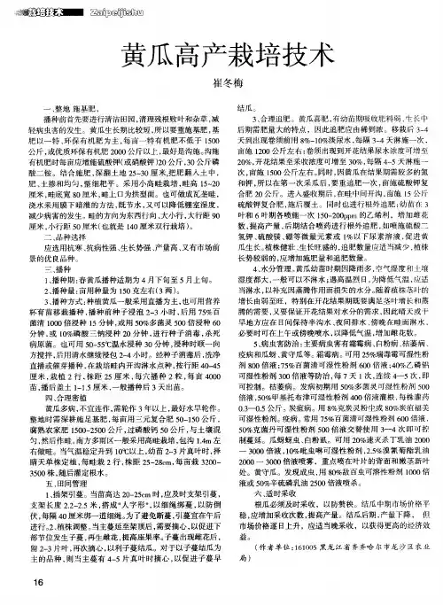 黄瓜高产栽培技术