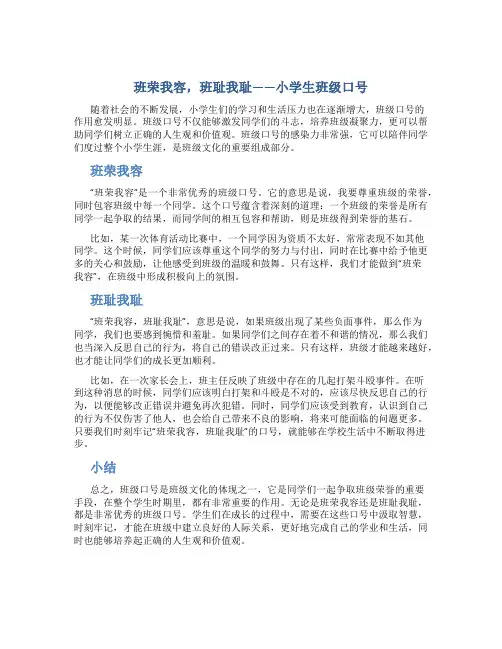 班荣我容,班耻我耻——小学生班级口号