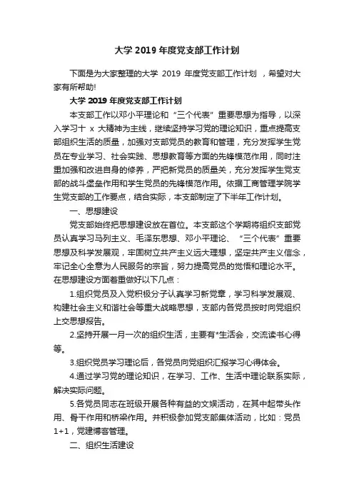大学2019年度党支部工作计划