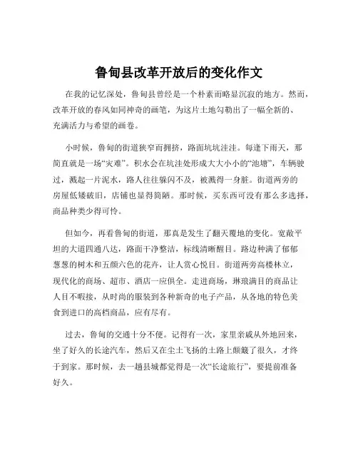 鲁甸县改革开放后的变化作文