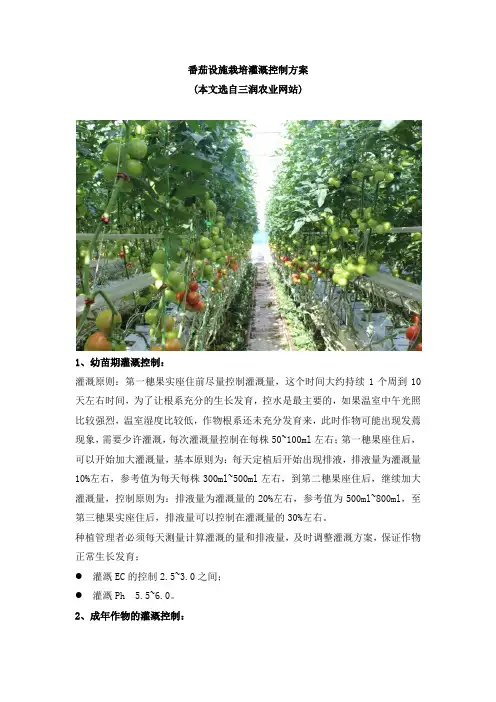 番茄设施栽培灌溉控制方案