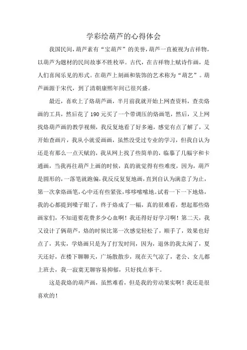学彩绘葫芦的心得体会