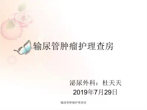 输尿管肿瘤护理查房 ppt课件