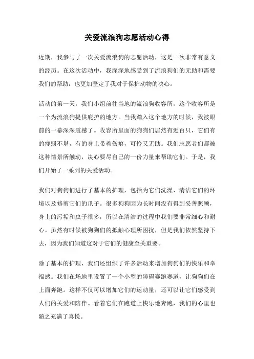 关爱流浪狗志愿活动心得