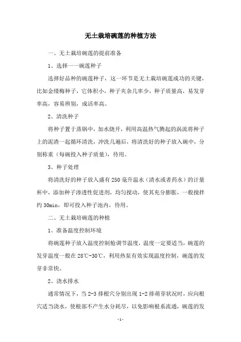 无土栽培碗莲的种植方法