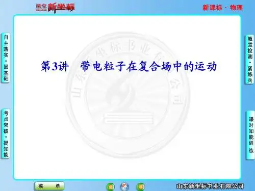 2013新课标高中物理总复习第8章---第3讲