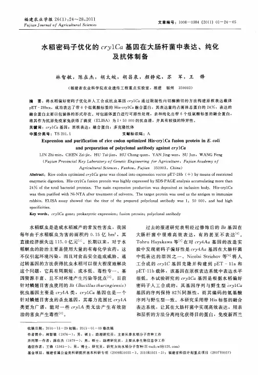 水稻密码子优化的cry1Ca基因在大肠杆菌中表达、纯化及抗体制备