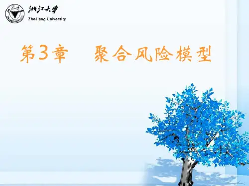 保险精算风险理论课件第3章 聚合风险模型