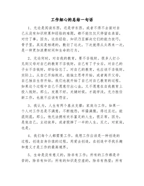 工作细心的总结一句话