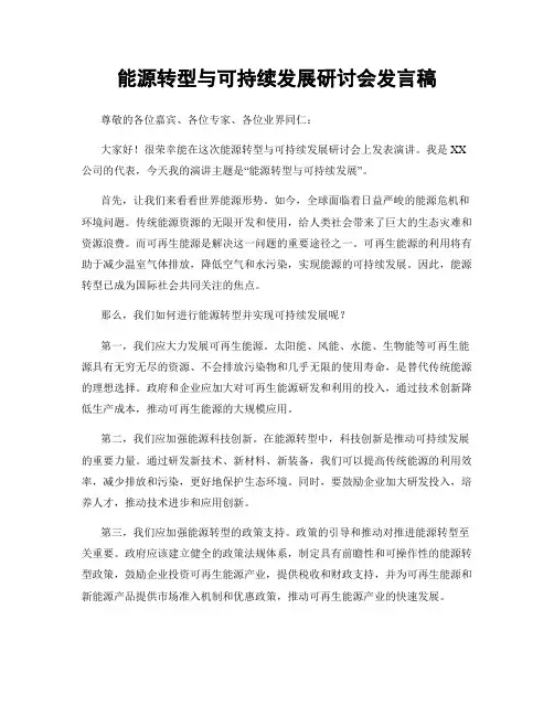 能源转型与可持续发展研讨会发言稿