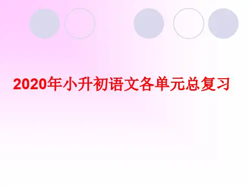 2020年小升初语文各单元总复习
