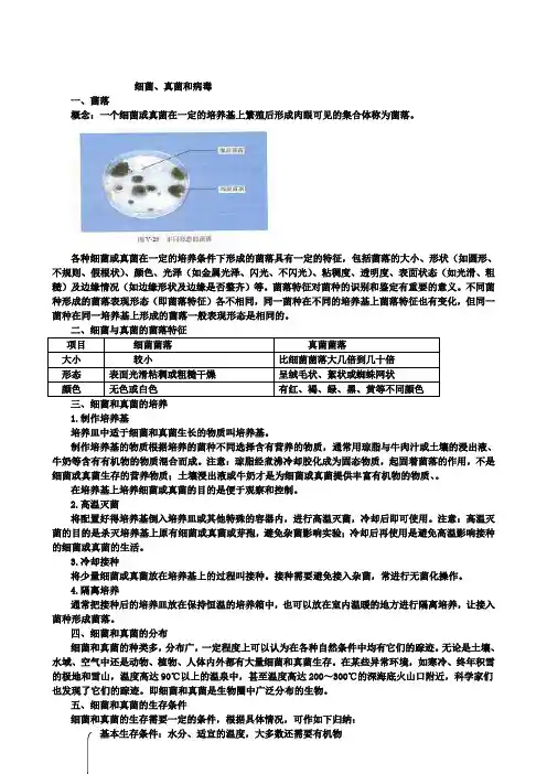 人教版九年级生物中考复习：细菌、真菌和病毒知识点总结(含五套中考试卷)
