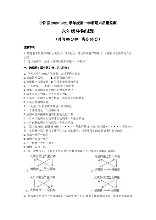 山东省泰安市宁阳县(五四制)2020-2021学年六年级上学期期末考试生物试题(含答案)