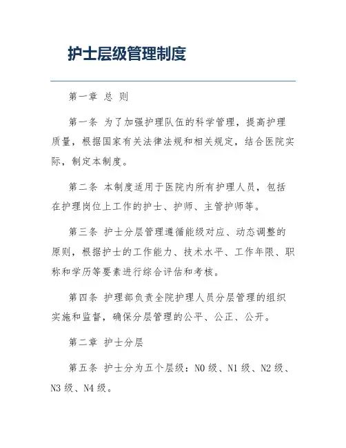 护士层级管理制度