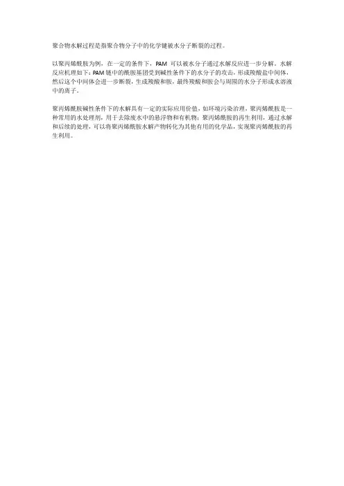 聚合物水解过程