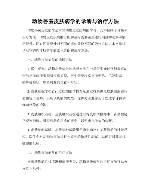 动物兽医皮肤病学的诊断与治疗方法